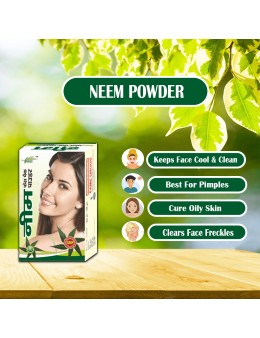 Neem Powder 100gm  (pack of 2)