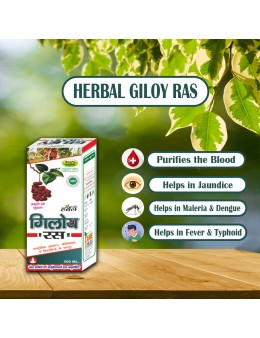 Herbal Giloy Ras 500ml