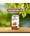 Chalmongra oil 60ml
