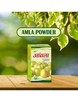 Amla Powder 100gm  (pack of 2)