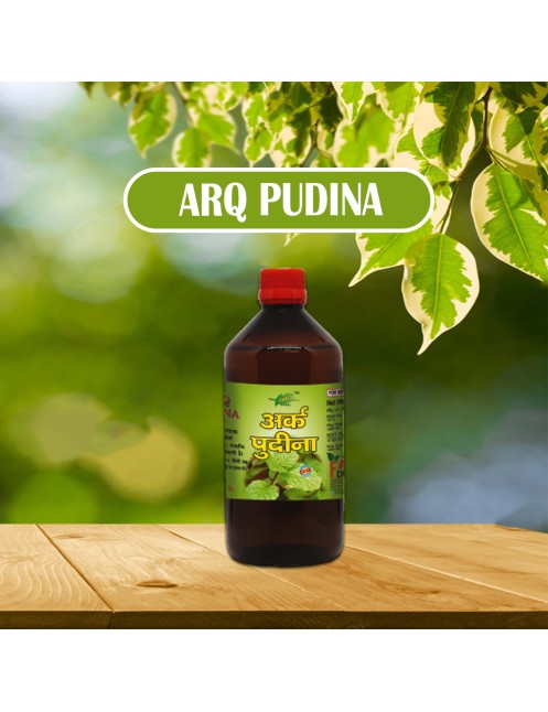 Arq Pudina 500ml