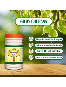 Giloy Churana 100gm ( pack of 2)