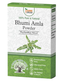 Bhumi Amla Powder 100 Gram