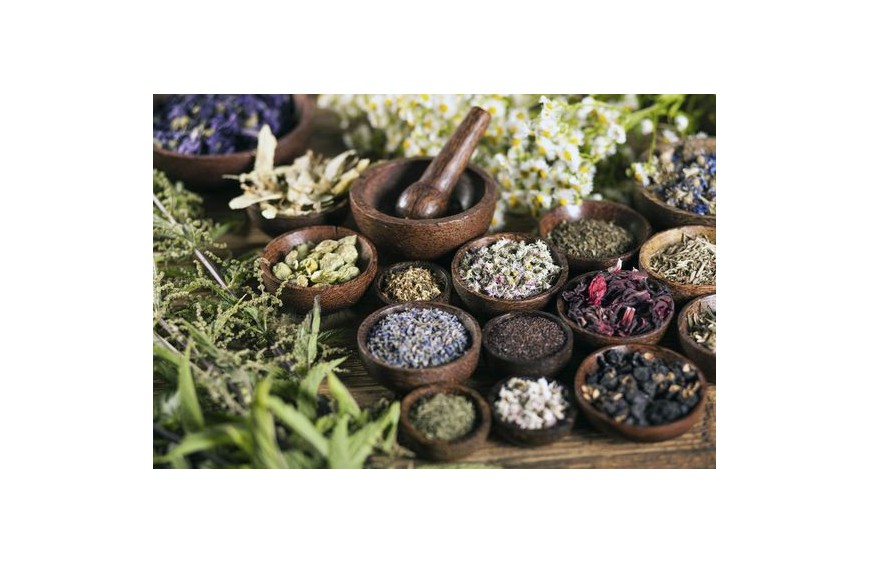  The Essence of Ayurvedic medicine